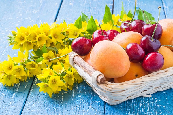 Saiba como é importante saber usar pré-moldados na sua obra