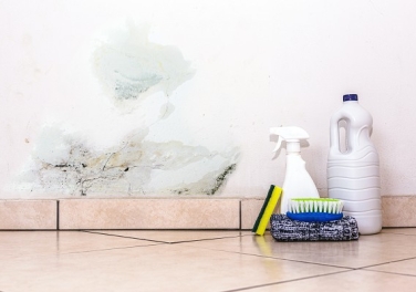 Parede com infiltração? Veja aqui 4 dicas para resolver o problema